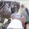 عبدالله's profile picture
