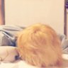 まーくん's profile picture