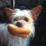 Profilbild von sanyos