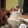 Brenda Ellis profil fotoğrafı