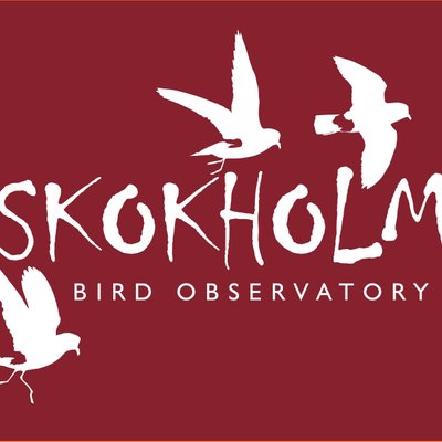 Skokholm Island's profile picture