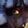 Tarag Grunk's profile picture