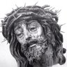 Jesús Mesa's profile picture