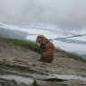Profilbild von view from the Hill