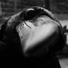Momentum Evigilatum's profile picture