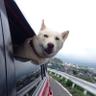 しーさま's profile picture