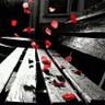 Profilbild von بعثرهہ♪'