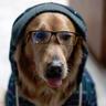 Фото профиля Gruff Mcpaws