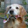 🌸フィッシャーマン🐾's profile picture
