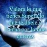 Irma I. Salcido 的头像
