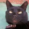 Profilbild von Beti