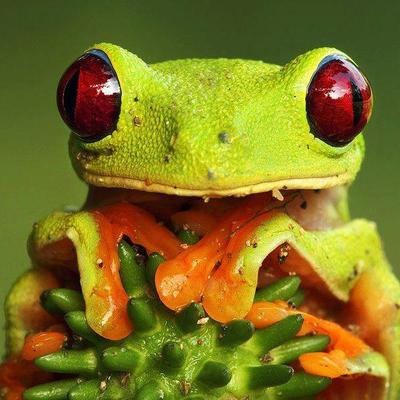 Doğadan Manzaralar's profile picture