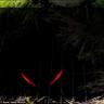 The O-Town Slayer's profile picture
