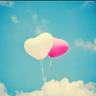 ﮼ماجد،قطمول's profile picture