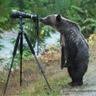 Profilbild von Grizzly Int