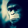 Profilbild von Floyd Toulet