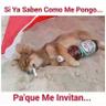 Irina's profile picture