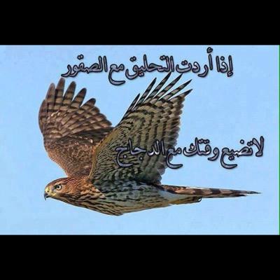 n_bouyabes's profile picture