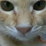 スパンク。 profil fotoğrafı