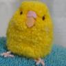 akfuyu's profile picture