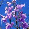 Фото профиля Nancy Amoretti