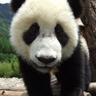 Mr.Q's profile picture