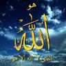 حصه بنت عبدالعزيز 💚🇸🇦💚's profile picture