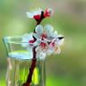 LisaVanHouten00 profil fotoğrafı