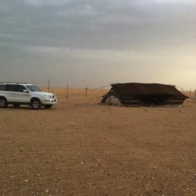 السالمـــــي's profile picture