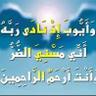 ayoub 的头像