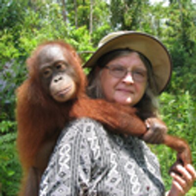 DrBirute's profile picture