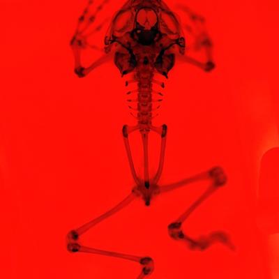 sobsin's profile picture
