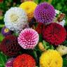 Anand Shanthi's profile picture