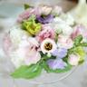 白桜（Shira_wo／しらを） profil fotoğrafı