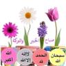 هدى 的头像