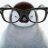 Фото профиля Penguin of Tropicana