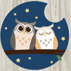 ふくろうの里 Owl Village's profile picture