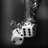 David C's profile picture