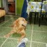 locoenelcoco profil fotoğrafı