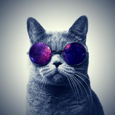 torvi2502's profile picture