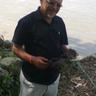 puspa bhattarai's profile picture