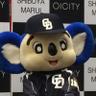 ジェントルマンドアラ's profile picture