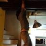 Profilbild von Parkour a los 40