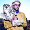 Saeed Aldhanhani 的头像