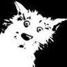 Nik Chicha's profile picture