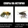 Profilbild von Злой Дарга