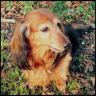 Profilbild von Linda