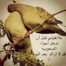 عابر القارات profil fotoğrafı