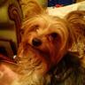 Janet Flaherty #WomenWontWheest's profile picture