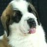 cazzie07's profile picture
